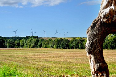 Sentiers des petits bois - Lichères