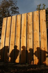 A Garein, la forêt inspiratrice