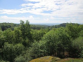 Circuit pédestre n°SG4 Le bois de Roche