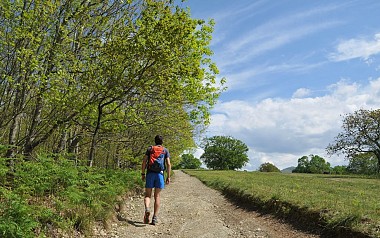 Redoutes / Gotorlekuak