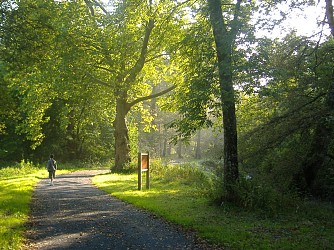 Bartas de l'Ardanavy / Ardanabiako bartak