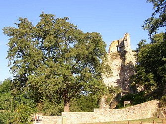 image du circuit