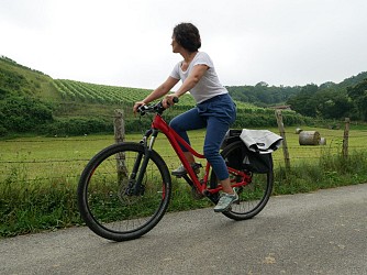 Baigorry et vignoble d'Irouléguy