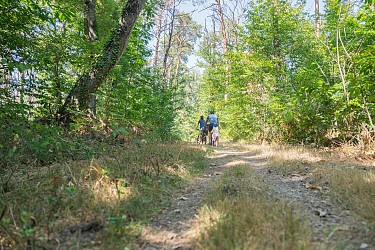 Sur les Pas d'André Theuriet
