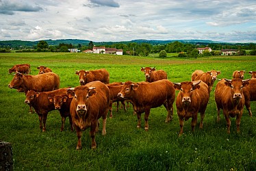 Circuit de la colline catalacoise