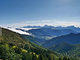 L'Aupillon