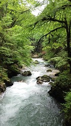 Le Dragon Sous-Roche