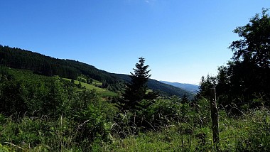 Circuit moto vers la forêt de Taillard