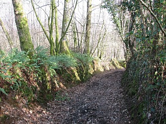 Circuit n°21 : Les Trois communes - Commune d'Ernée, Montenay, St Denis de Gastines