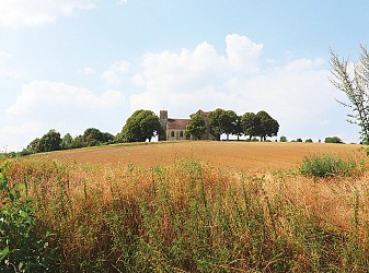 De la butte à la forêt
