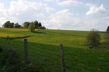 Le Puy de l'Aiguille - 10 km