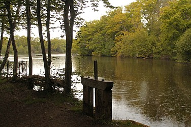 Circuit pédestre n°15 La Saumagne - rando bambin