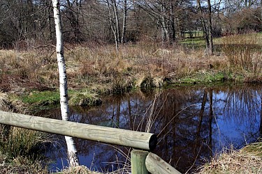 Circuit pédestre n°12 La Chapuisette - rando bambin