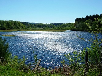Circuit pédestre N°23 CC:  "Sentier de découverte de la tourbière de l'étang du Bourdeau"