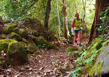 Circuit Uni'Vert Trail n°7 : Urbain'POLT