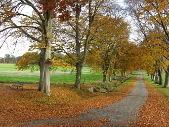 De la Forêt de la Groie aux bords de la Luire