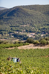 OENORANDO® LA VALLÉE DES ARÔMES