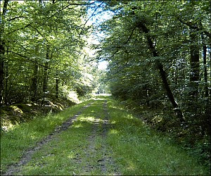 Walking trail of the pillar
