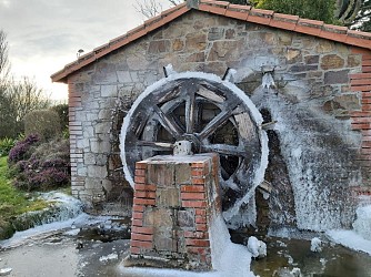Promenons-nous à La Séguinière : Balade autour du Moulin de la Cour