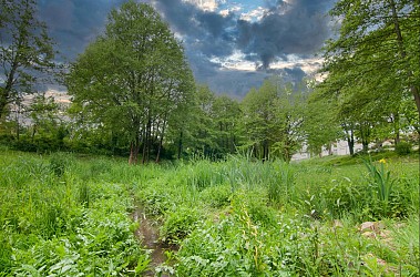 Promenons-nous à la Tessoualle : les Coulées Vertes