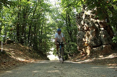Les collines de la Galaure