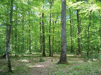 LE GAVRE / Circuit des Chêtelons