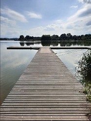 Promenons-nous à Cholet : une partie de la Ribou'cle