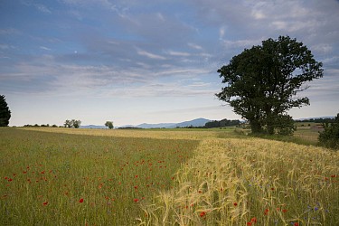 Circuit vélo autour de Vernosc