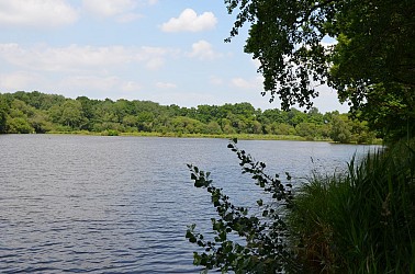 Randonnée autour de Mézangers: Circuit de la pierre, l'eau, la forêt et le fer