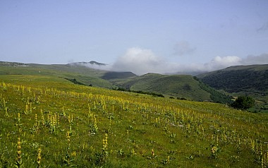 Circuit cyclo - Autour de Prat de Bouc