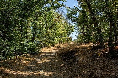 Le Pichegru - VTT FFC n°27