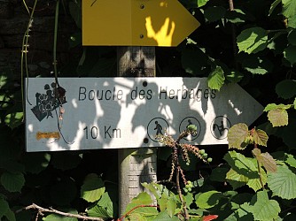 4 - Boucle des Herbages (Saint-Aignan-de-Couptrain)