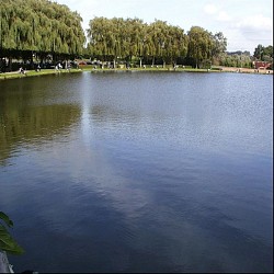 Balade de Coeurcq à Tubize