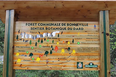 Sentier botanique du Dard