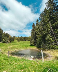 Boucle pédestre : l'Alpage de l'Iselet