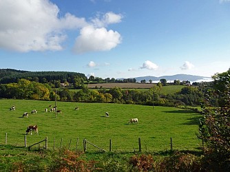 Chenelette - La Roche d'Ajoux