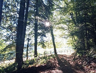 Cours-la-Ville – En balcon entre Rhône et Loire