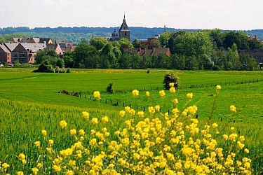 Promenade de la Senne à Tubize