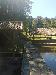 Du Tilleul à la Somptueuse - Tillou