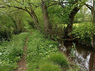 Les Bois de Celles - Celles-sur-Belle - 7.7 kms