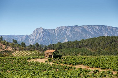 OENORANDO® LE MAS BLANC