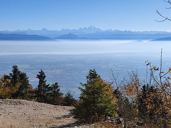Randonnée pédestre : Echenevex - Branveau - Montchanais
