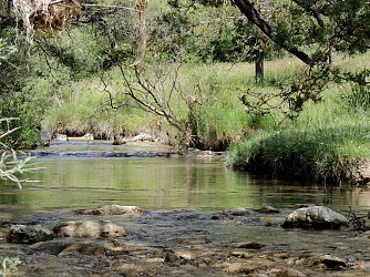 Randonnée Le sentier du Lauzon