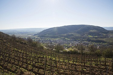 Circuit gourmand le long du Rhône