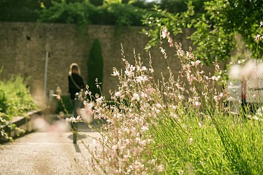 Solaize - En lisière de l’Ozon