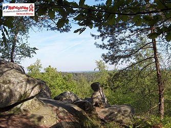 Tour of the Fontainebleau Forest