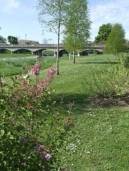 REVIGNY-SUR-ORNAIN : GRANDE BOUCLE NORD