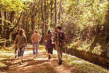 La forêt de Sérénac