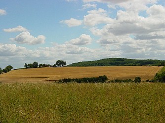 Les coteaux de Carlus