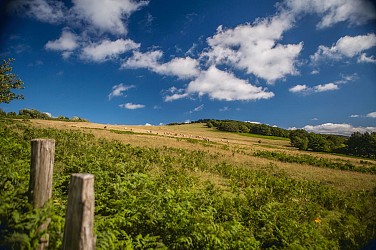 Circuit n°4 VTT - Secteur Lacaune les Bains